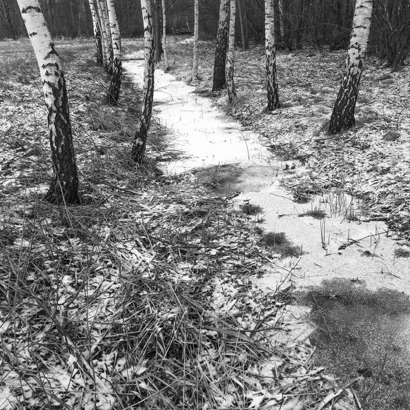 _MG_1936.jpg